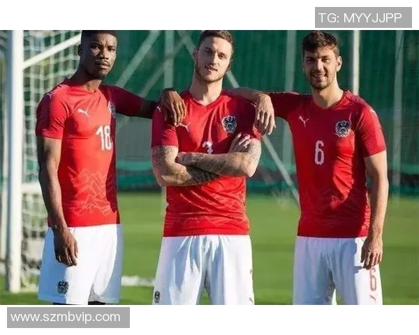 北爱尔兰与奥地利足球队阵容分析及比赛前瞻探讨