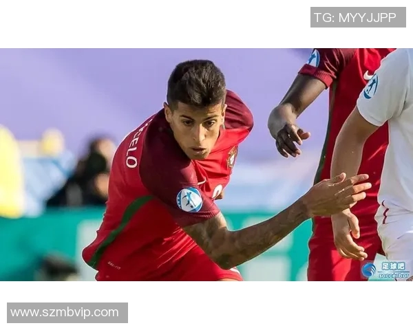 坎塞洛：从边缘球员到世界顶级后卫的华丽转身与职业生涯回顾