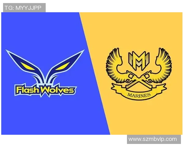 巴特与维迪奥顿精彩对决直播全程回顾与分析