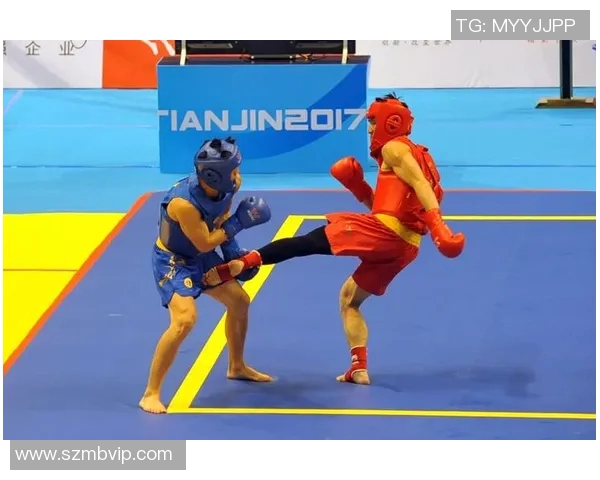 王文忠散打挑战欧洲高手展现中国武术风采与实力对决 王文忠散打挑战欧洲高手展现中国武术风采与实力对决