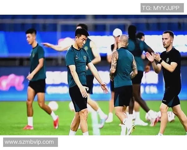 2008年申花与绿城激战回顾:经典对决中的激情与荣耀 2008年申花与绿城激战回顾:经典对决中的激情与荣耀