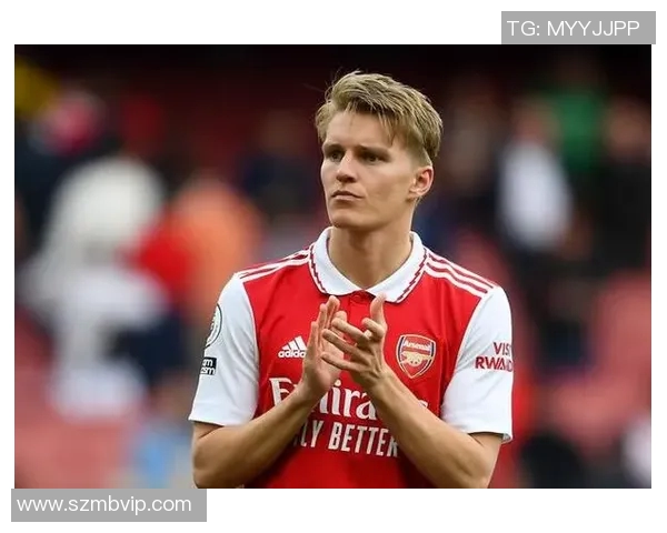 厄德高在国际赛场的崛起与未来发展潜力分析